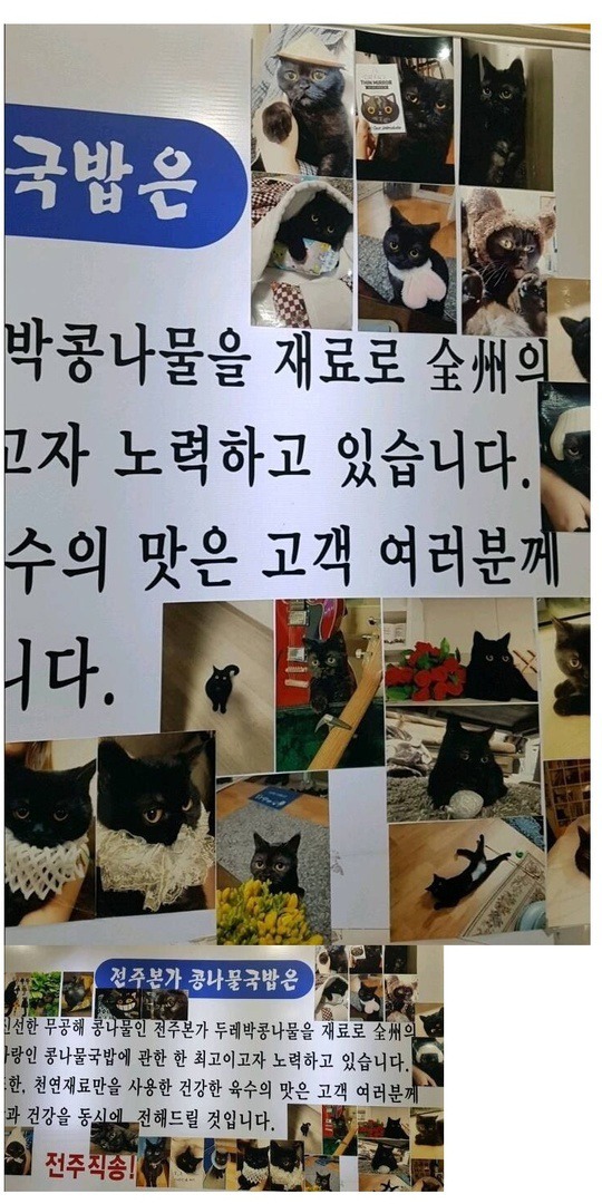 고양이 자랑하고 싶은 사장님 | 인스티즈