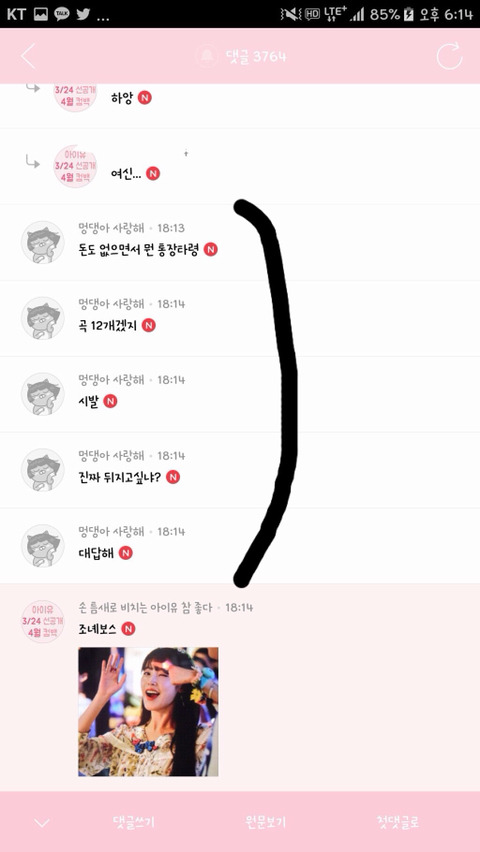 병이 필요한 이유 (안티에게 병 시전하는 아이유 팬들) | 인스티즈
