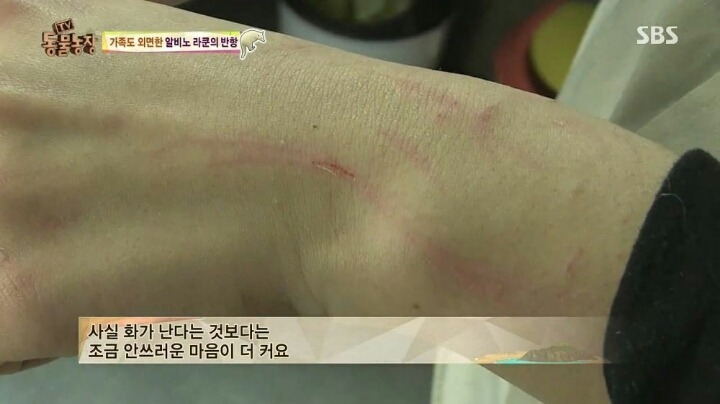 힘들게 일하는 여자 사육사ㅠㅠ.jpg | 인스티즈