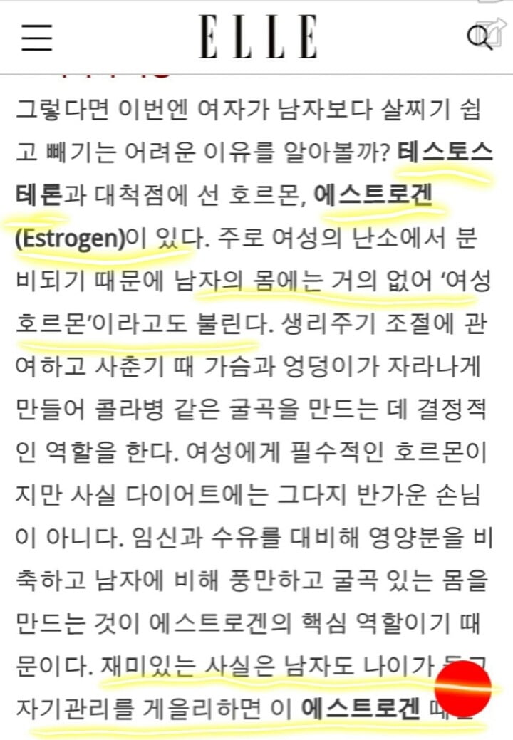 영앤리치 빅앤핸섬에 fit and muscle을 새로 추가 해야되는 이유 (남성의 여성화) | 인스티즈