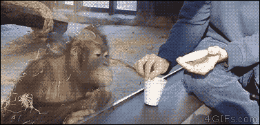 부장님의 마술에 대한 신입사원의 흔한 반응.gif | 인스티즈
