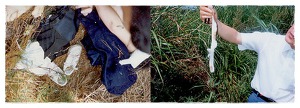 너는 자수하지 않으면 사지가 썩어 죽는다 | 인스티즈