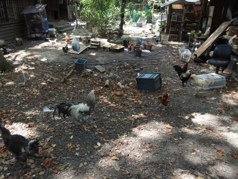일본 최고 명문대중 하나인 교토대학교의 기숙사.jpg | 인스티즈