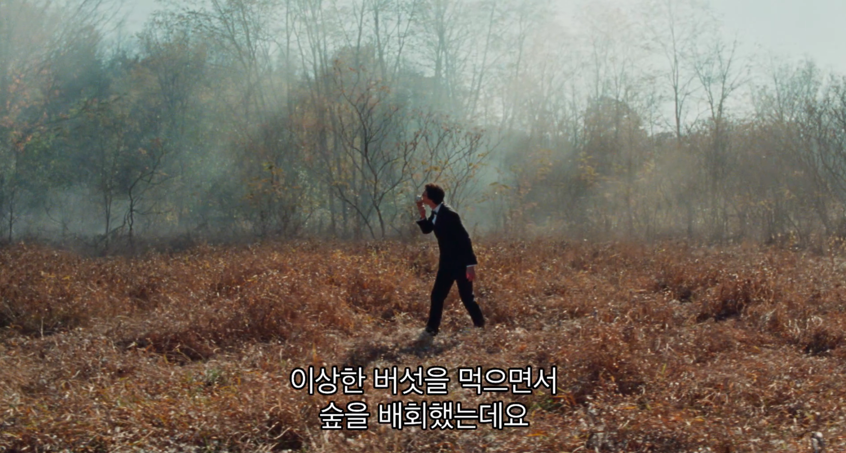 모든 사람이 날 아는데 돈은 없음.. 이제 요정이 돈도 안주네; | 인스티즈