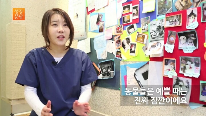 반려동물 키우기를 쉽게 생각하는 사람이 반드시 들어야 할 대답 | 인스티즈