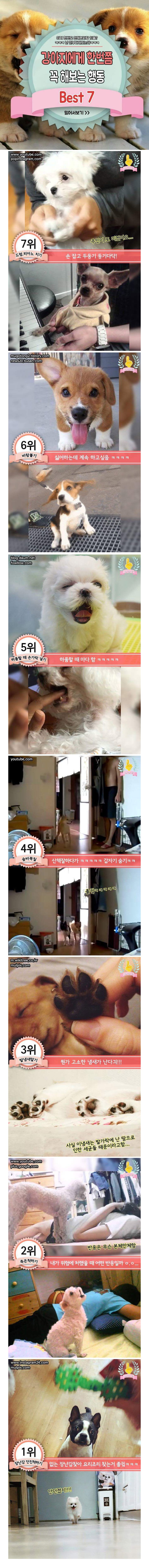 에게 한번쯤 해보는 행동 | 인스티즈