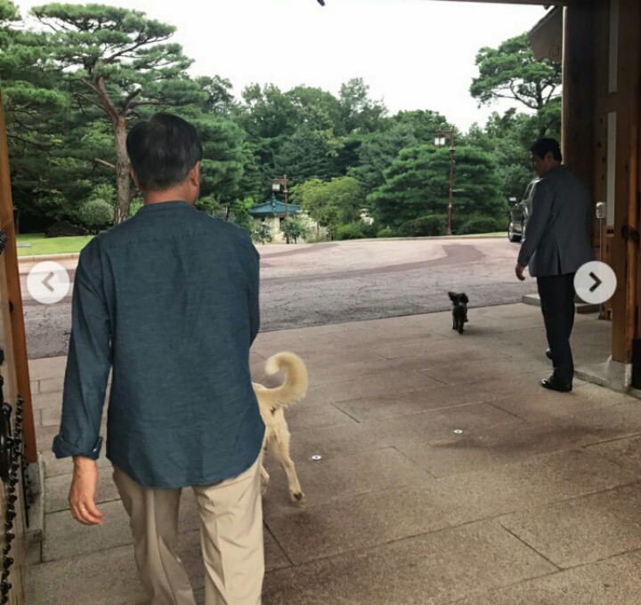 문재인 대통령 인스타그램 마루 토리 산책 | 인스티즈
