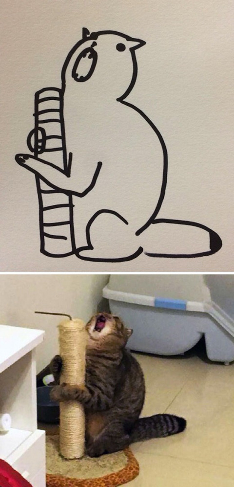 완벽한 고양이 묘사.jpg | 인스티즈