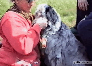 물이 무서운 멍이.gif | 인스티즈