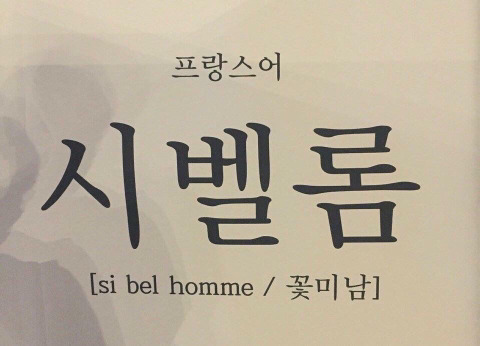 님들 그거 아세요? 님들은 다 시벨이에여 | 인스티즈