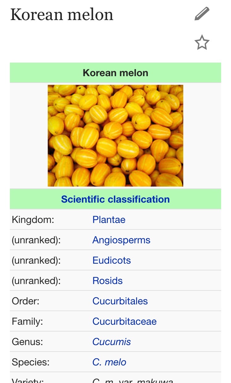 외국에서 한국 고유 과일로 착각하는것 | 인스티즈