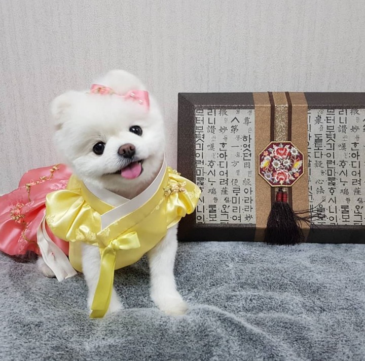 되는일이!!!!!!없어.. 되는일이!!!!!!!!!!! | 인스티즈