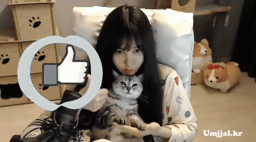 강렬한 유튜브 인트로 | 인스티즈