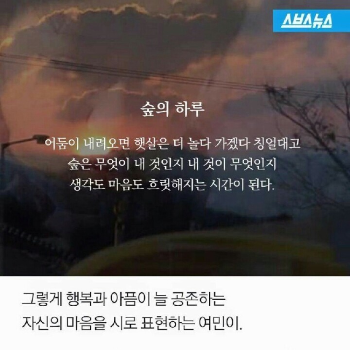 8041:1 을 뚫고 대상을 탄 문학영재소년 | 인스티즈