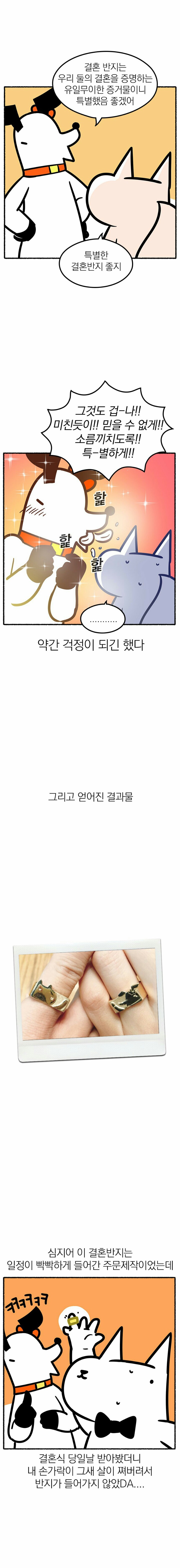 오타쿠와 결혼하는 것이란?.dolditoon | 인스티즈