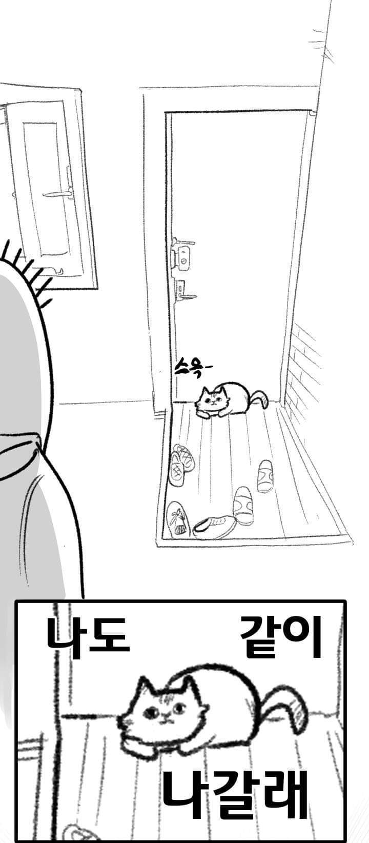 우리집 고양이 이야기.manhwa | 인스티즈