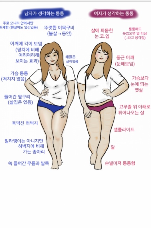 남자여자가 생각하는 여자들의 통통 | 인스티즈