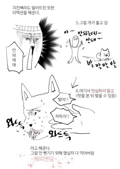강아지 약먹이는 방법.jpg | 인스티즈