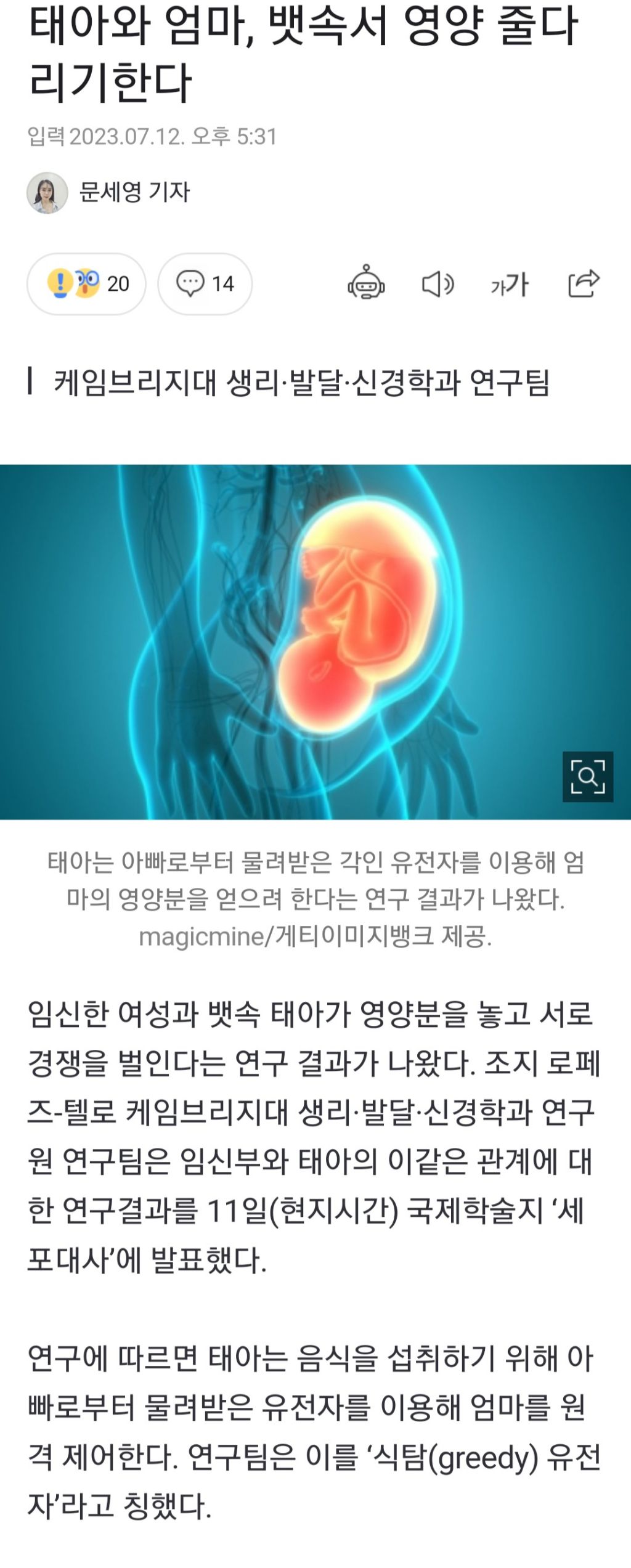 태아와 엄마, 뱃속서 영양 줄다리기한다 | 인스티즈