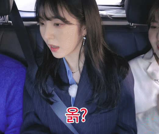아이린의 기묘한 자동차 여행.gif | 인스티즈