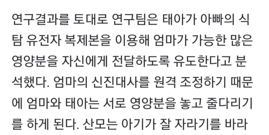 태아와 엄마, 뱃속서 영양 줄다리기한다 | 인스티즈