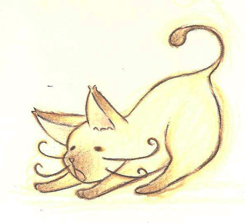 색연필로 고양이 여우 그림!!! | 인스티즈