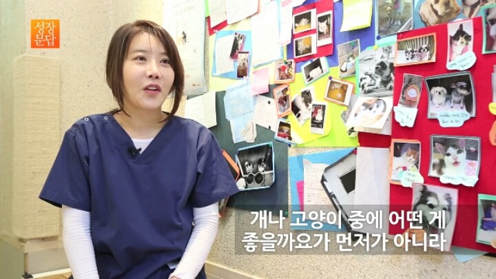 반려동물 키우기를 쉽게 생각하는 사람이 반드시 들어야 할 대답 | 인스티즈