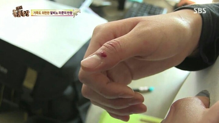 힘들게 일하는 여자 사육사ㅠㅠ.jpg | 인스티즈