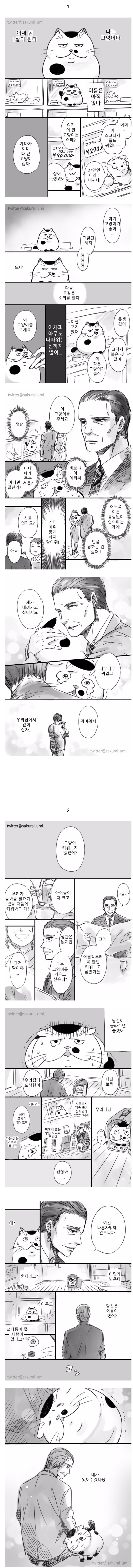 아저씨와 고양이 만화 | 인스티즈