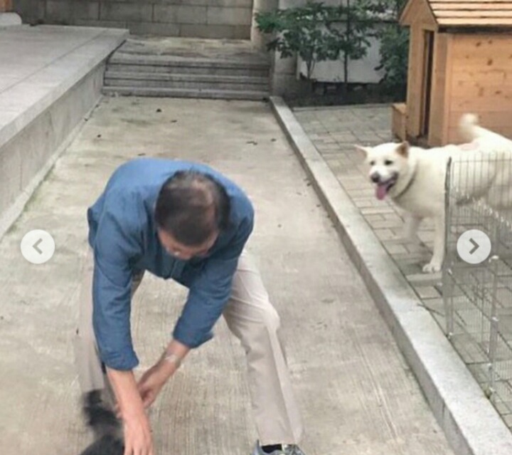 문재인 대통령 인스타그램 마루 토리 산책 | 인스티즈