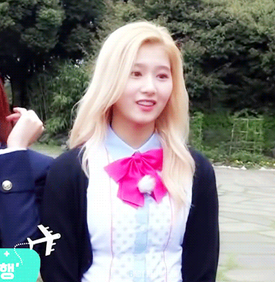 [트와이스] 인사도 하고싶고 하트도 하고싶은 사나 | 인스티즈