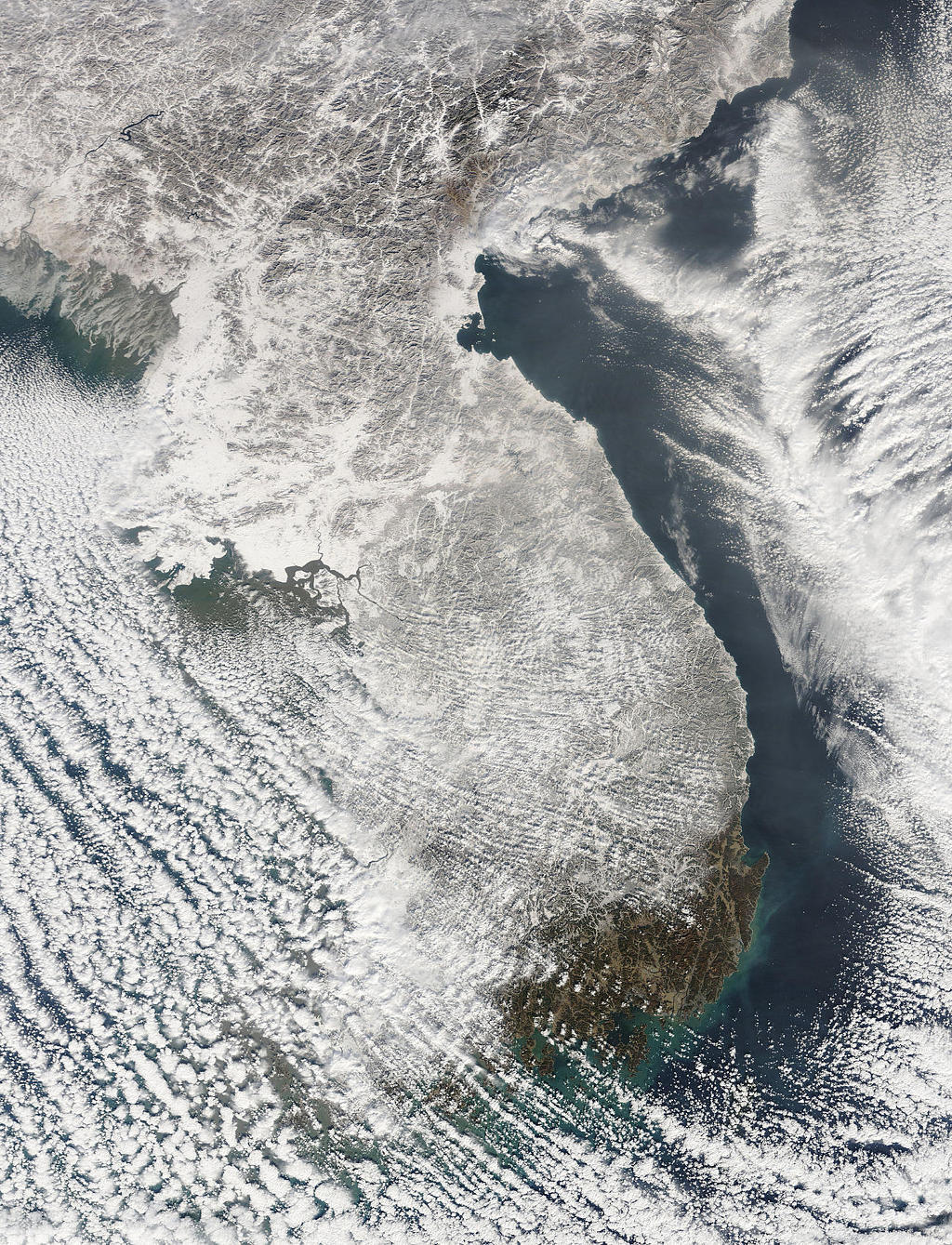 전국적 폭설일때 대한민국 위성사진 | 인스티즈