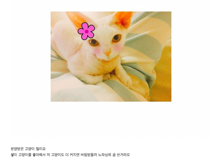 악플 엄청 받고 있는 민효린 반려 동물 사건 정리 글.......jpg | 인스티즈