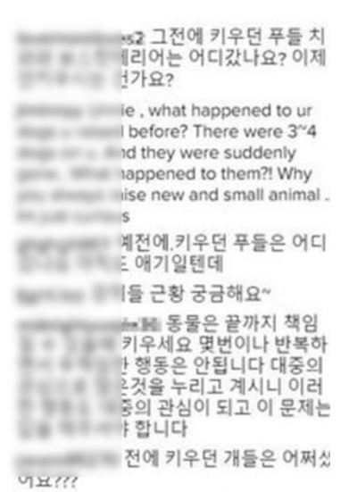 악플 엄청 받고 있는 민효린 반려 동물 사건 정리 글.......jpg | 인스티즈
