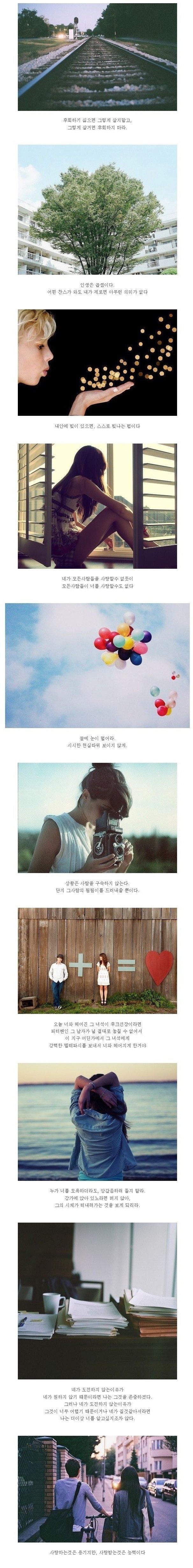  인생을 비관하고 있는 당신을 위해 | 인스티즈