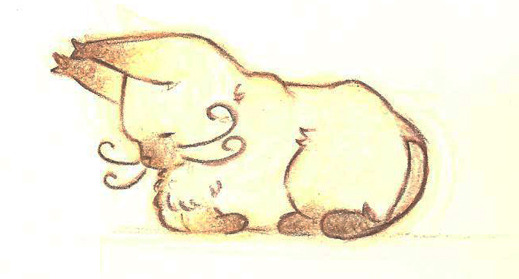 색연필로 고양이 여우 그림!!! | 인스티즈