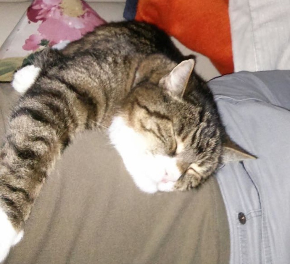 25살 청년의 21년지기 친구.jpg | 인스티즈