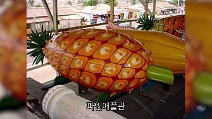 가나의 특이한 장례식 관 | 인스티즈