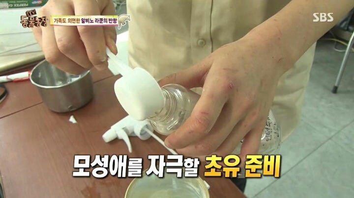 힘들게 일하는 여자 사육사ㅠㅠ.jpg | 인스티즈