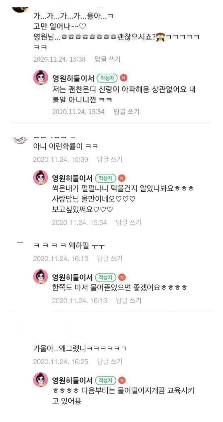 남편이 고양이랑 같이 집 나가라네요 | 인스티즈