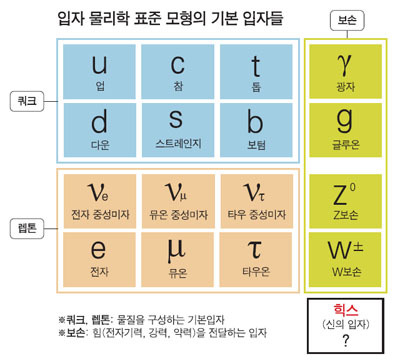 기본적인 물리학: 표준입자와 4가지의 힘 | 인스티즈