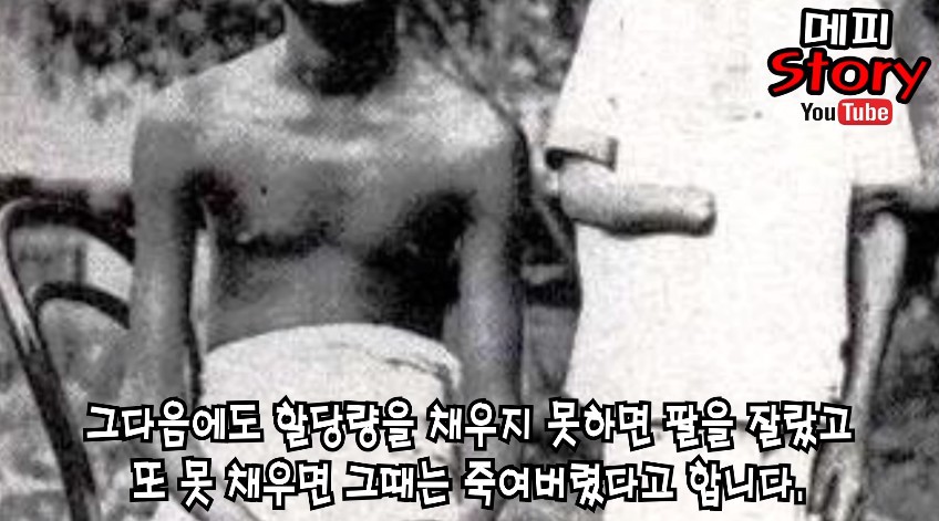 벨기에 인종차별 클라스 | 인스티즈