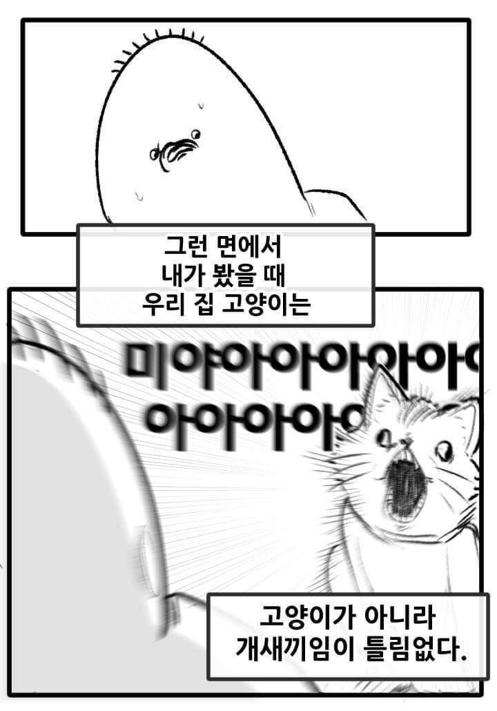 우리집 고양이 이야기.manhwa | 인스티즈