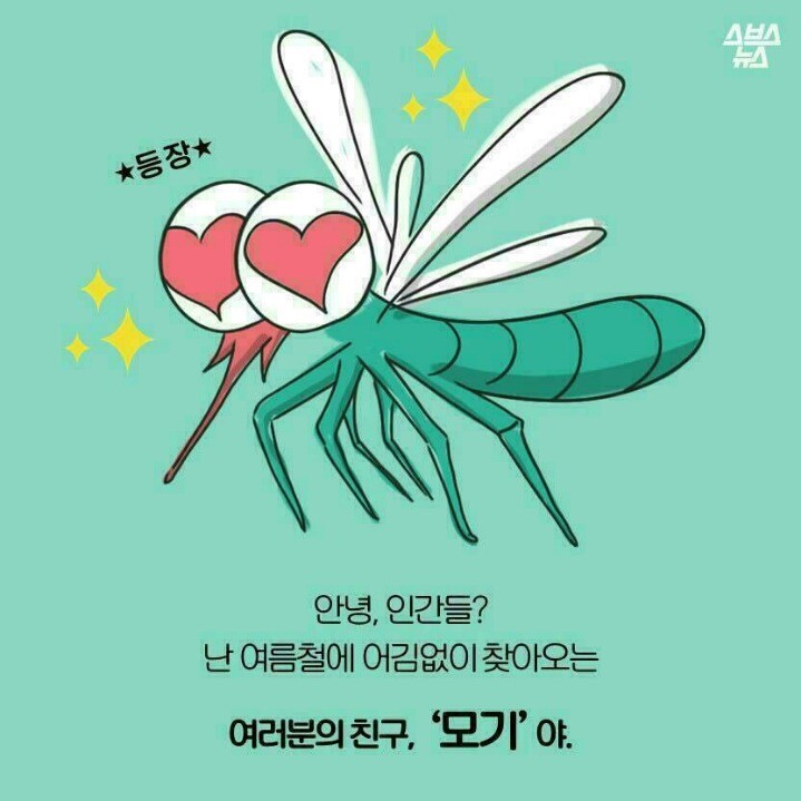 모기에 대해 | 인스티즈