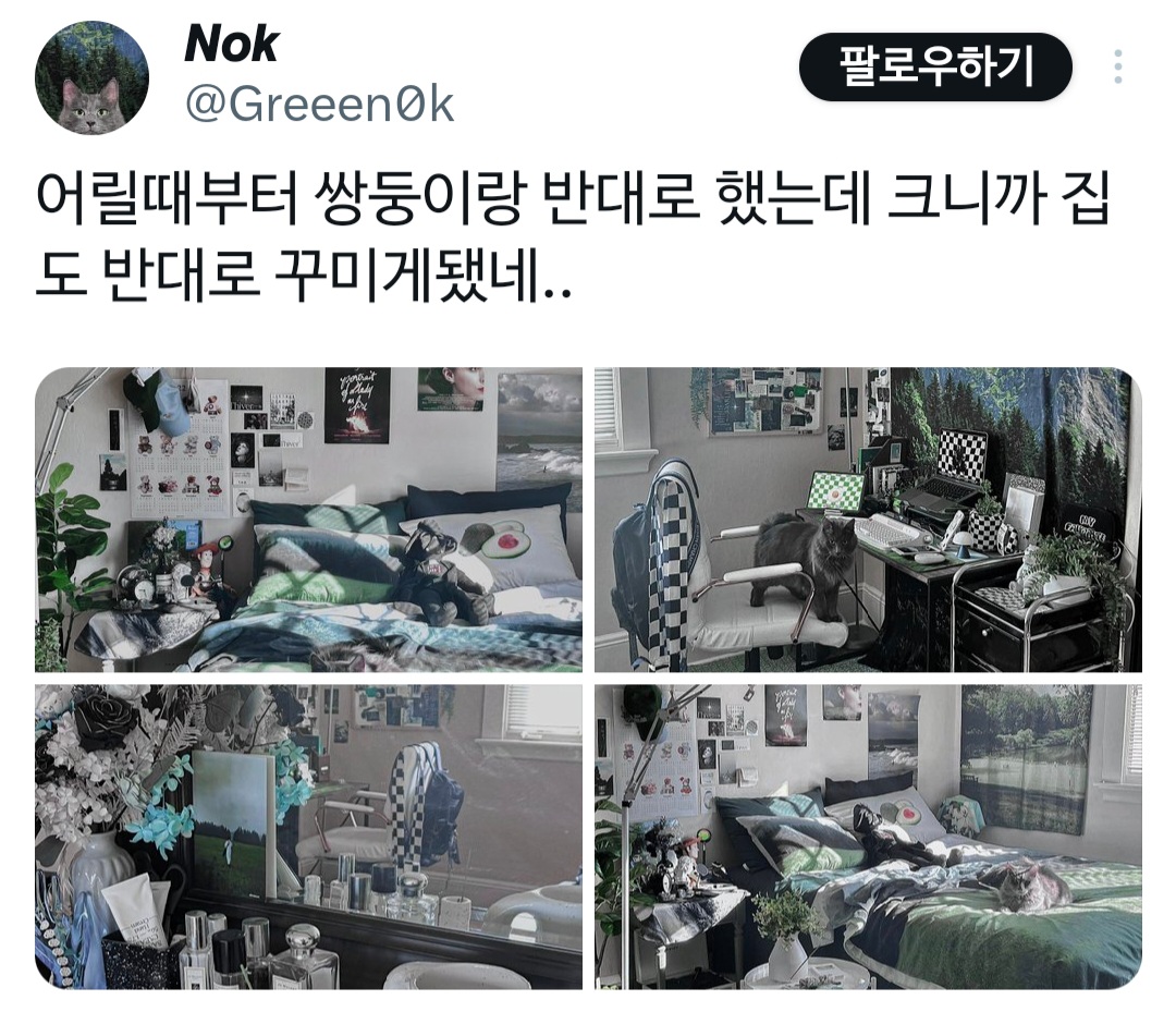 작년에 핫했던 쌍둥이 인테리어 이사하셔서 합쳐짐! | 인스티즈