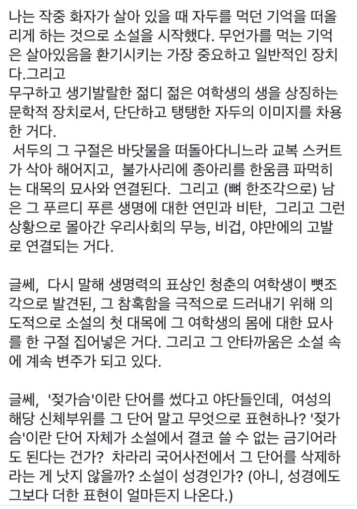 젖가슴 어쩌구 들어가는 소설 작가의 변명 | 인스티즈