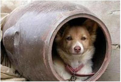 이다 vs 아니다 | 인스티즈