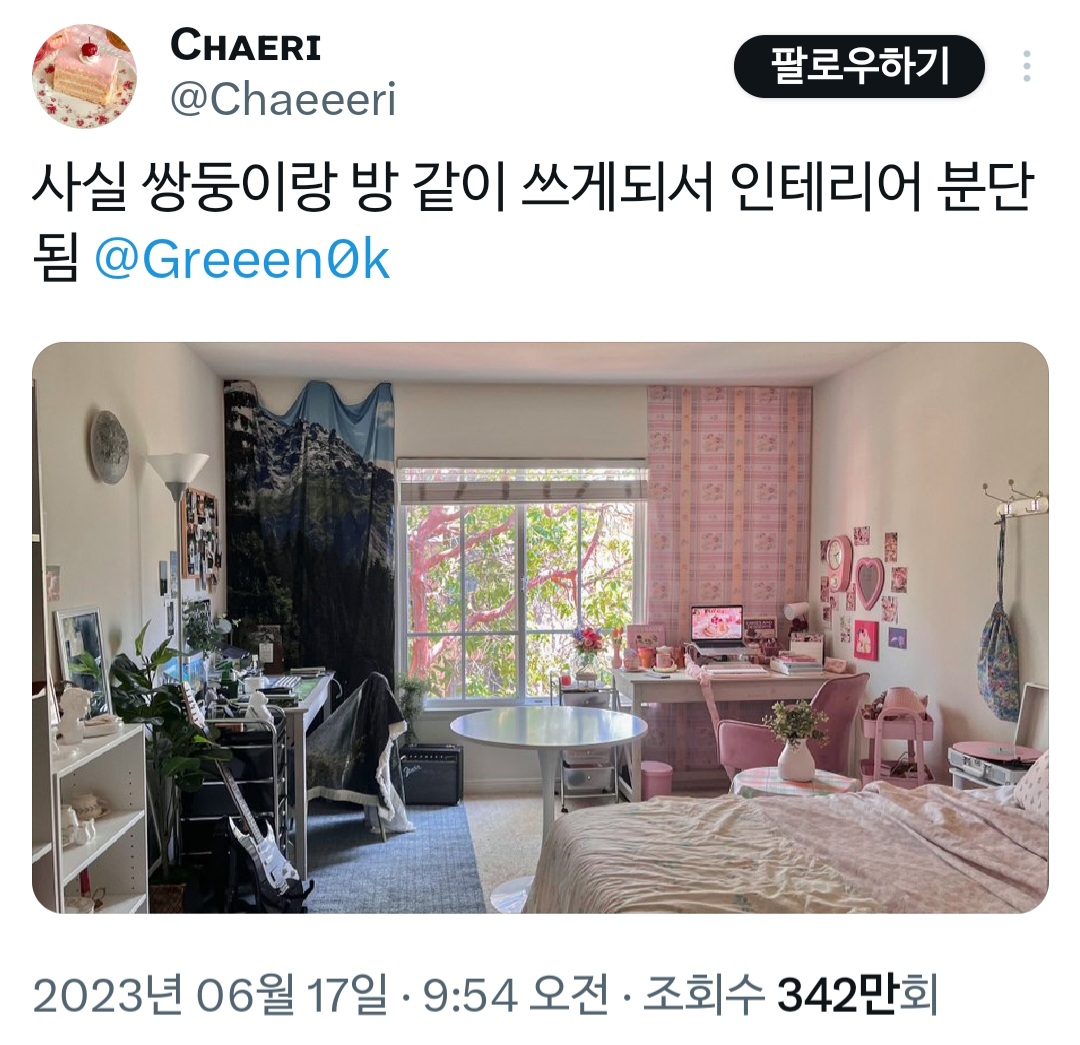 작년에 핫했던 쌍둥이 인테리어 이사하셔서 합쳐짐! | 인스티즈