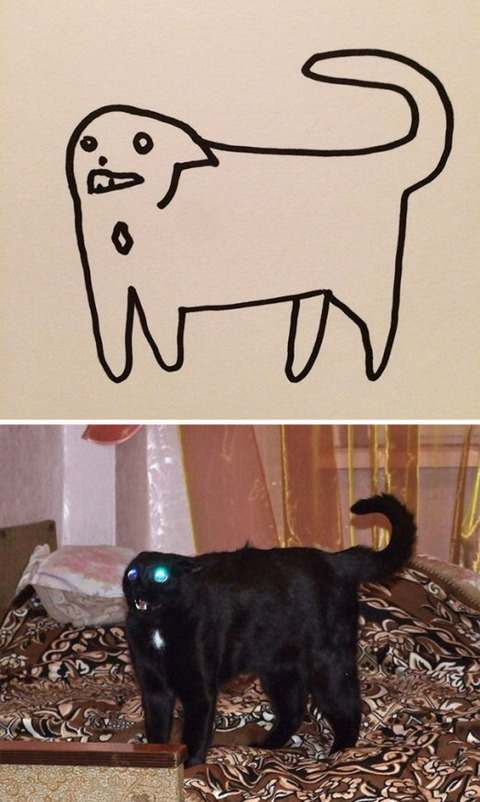완벽한 고양이 묘사.jpg | 인스티즈