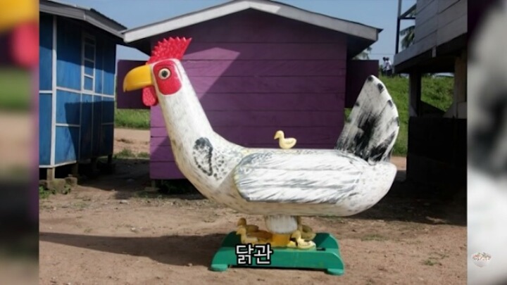 가나의 특이한 장례식 관 | 인스티즈